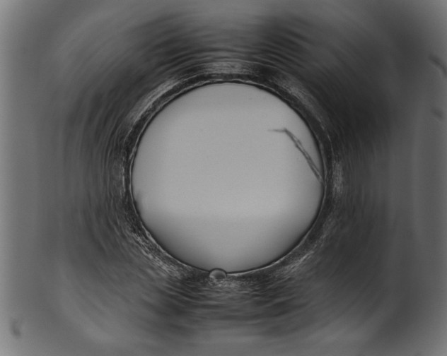 X0000101220829200807181550