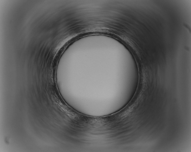 X0000101220830200807181550