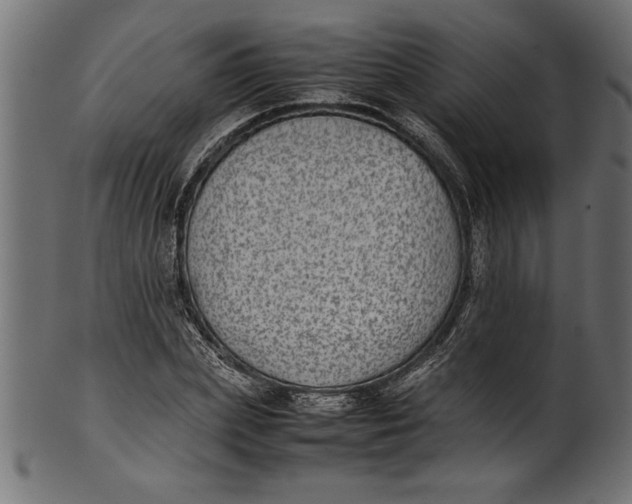 X0000101220831200807181550