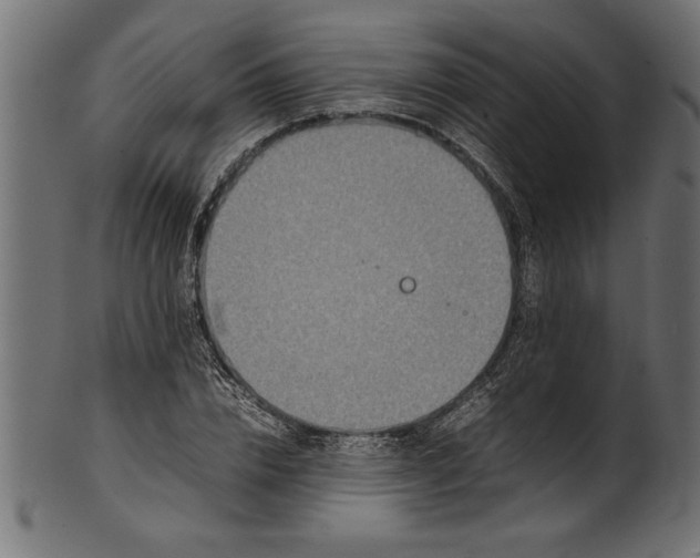 X0000101220832200807181550