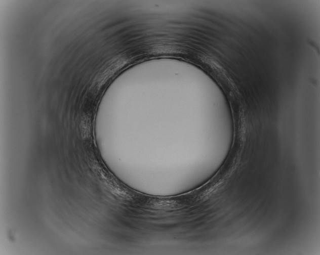 X0000101220833200807181550
