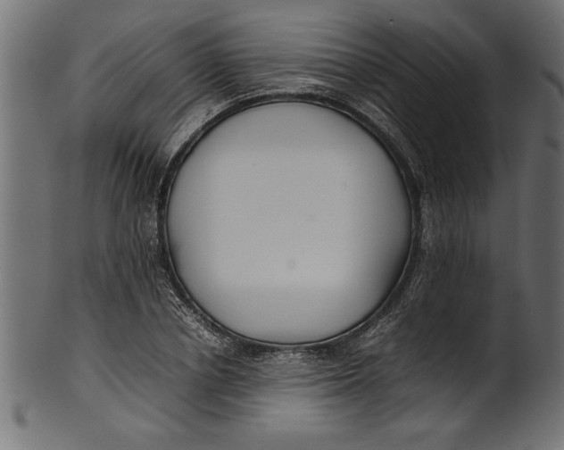 X0000101220834200807181550