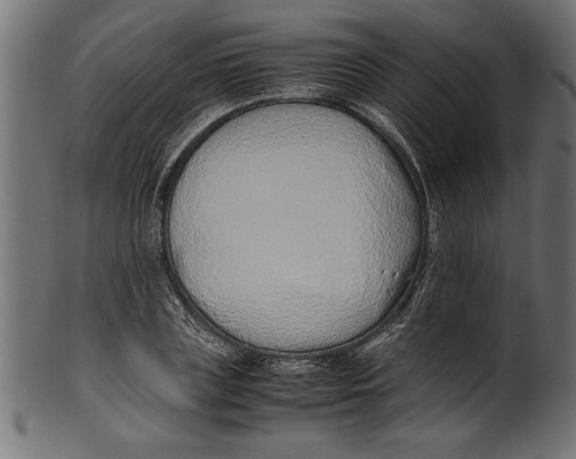 X0000101220835200807181550