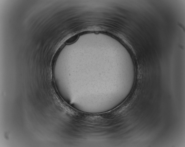 X0000101220837200807181550