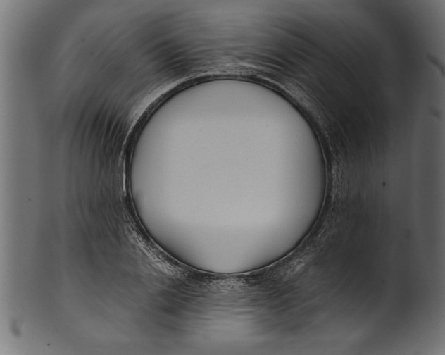 X0000101220838200807181550