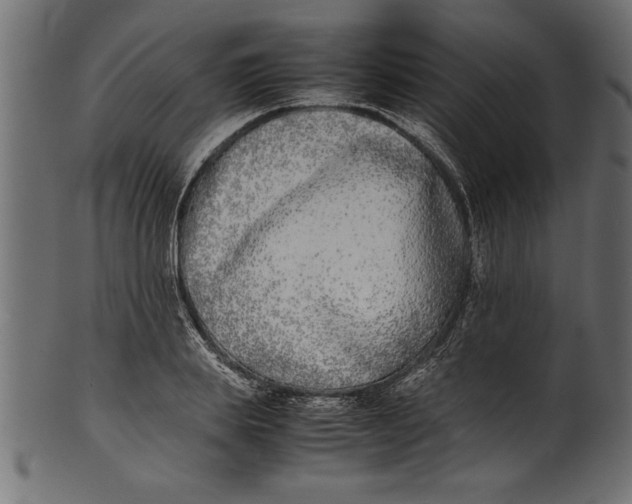 X0000101220839200807181550
