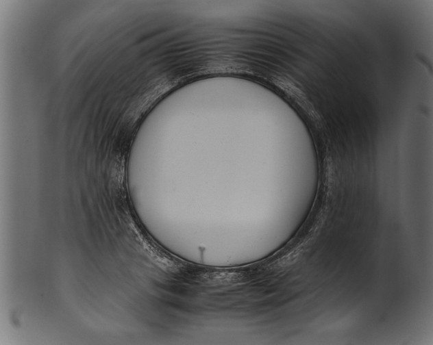 X0000101220841200807181550