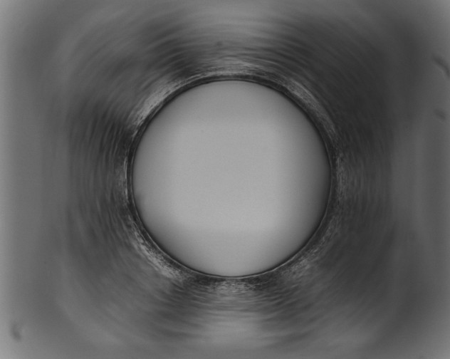 X0000101220842200807181550