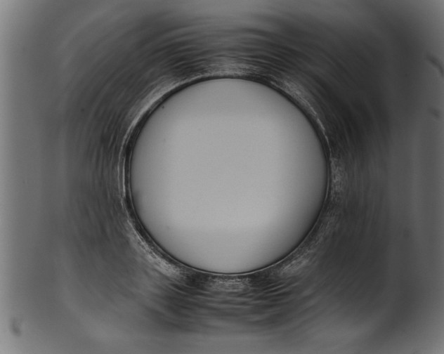 X0000101220843200807181550