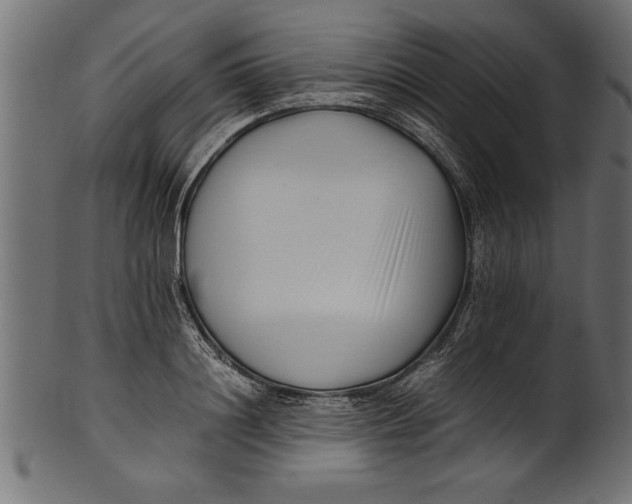 X0000101220844200807181550