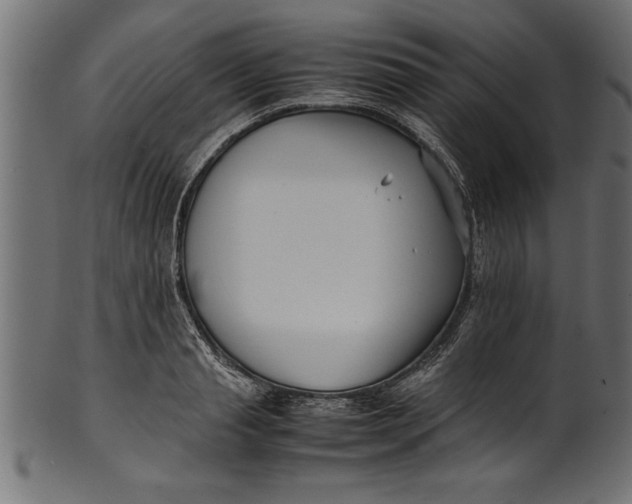 X0000101220845200807181550