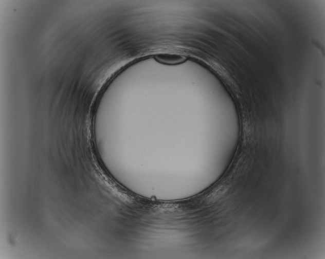 X0000101220846200807181550