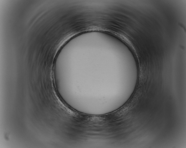 X0000101220847200807181550