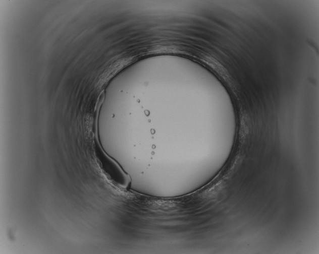 X0000101220849200807181550