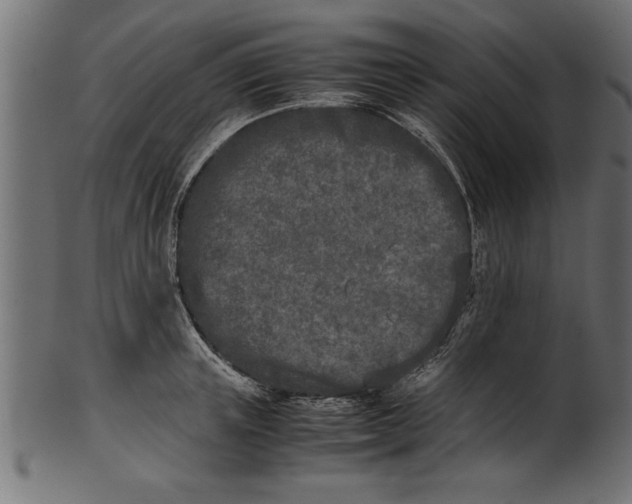 X0000101220851200807181550