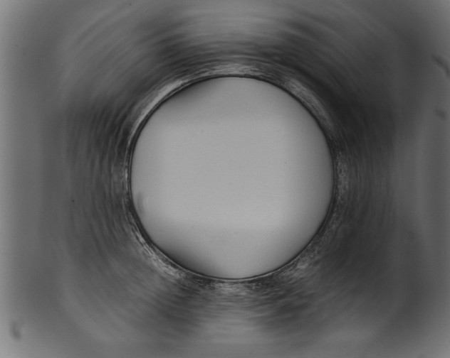X0000101220852200807181550