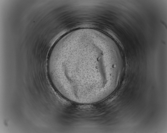 X0000101220853200807181550