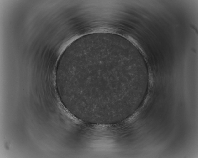 X0000101220854200807181550