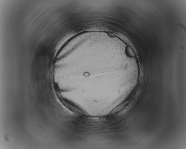 X0000101220855200807181550