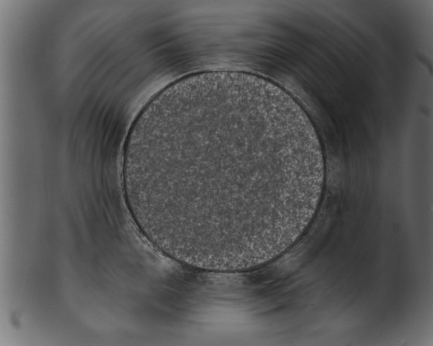 X0000101220856200807181550