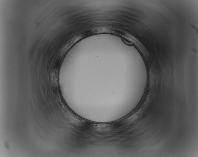 X0000101220857200807181550
