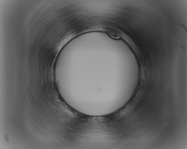 X0000101220858200807181550