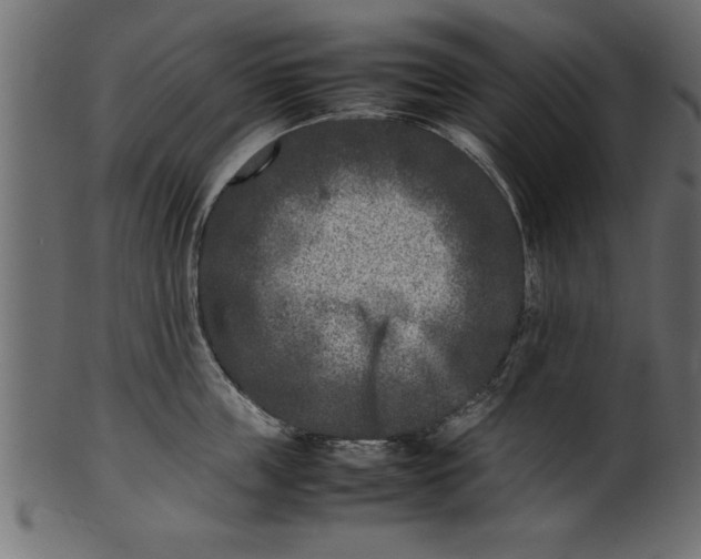 X0000101220859200807181550