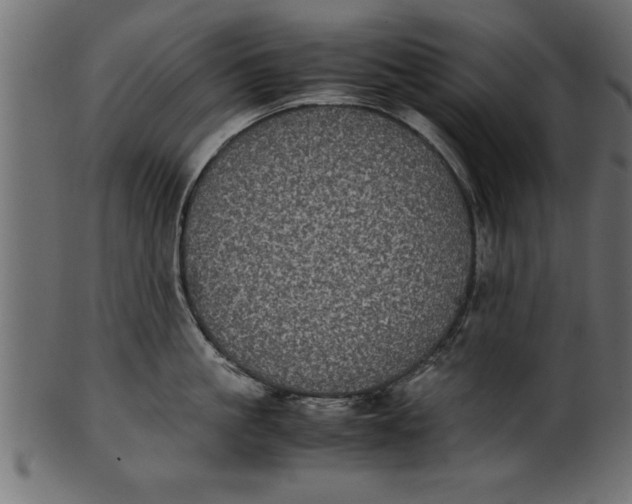 X0000101220861200807181550