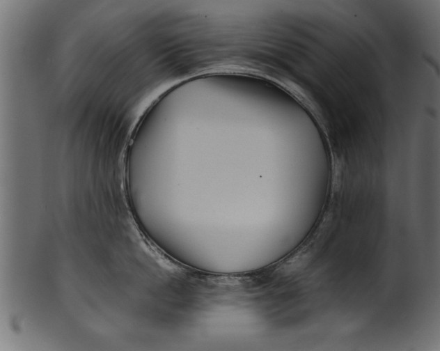X0000101220862200807181550