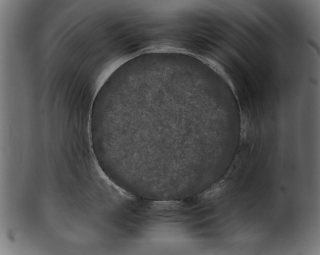 X0000101220863200807181550