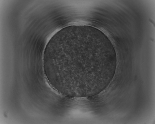 X0000101220864200807181550