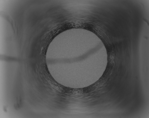 X0000101220865200807181549