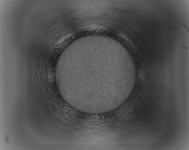 X0000101220869200807181549