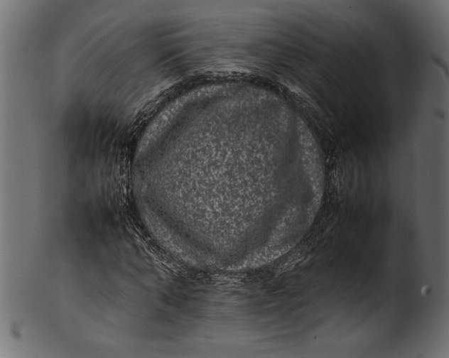 X0000101220870200807181549