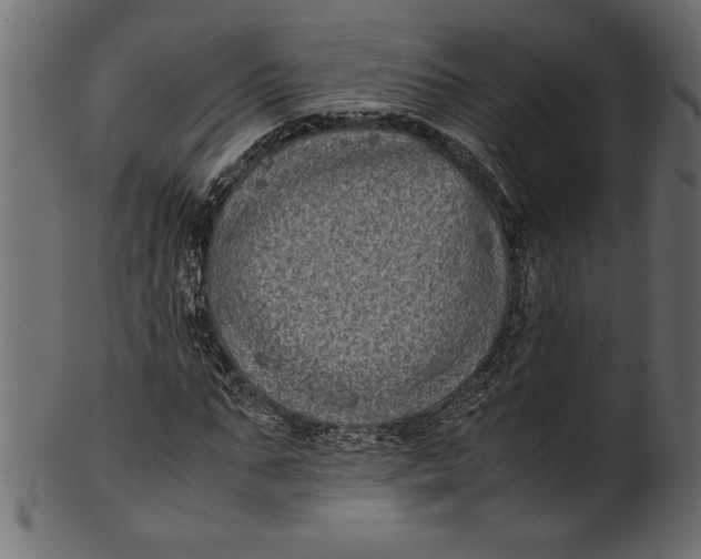 X0000101220871200807181549