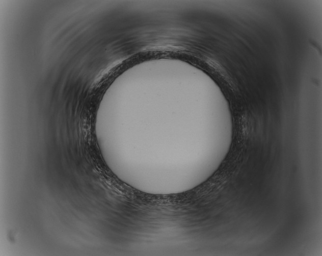 X0000101220872200807181549