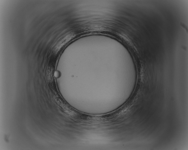 X0000101220873200807181549