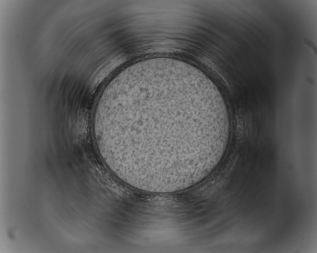 X0000101220874200807181549