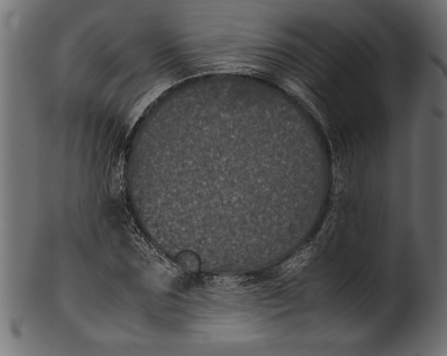 X0000101220875200807181549