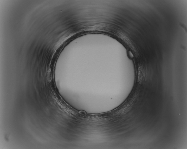 X0000101220876200807181549