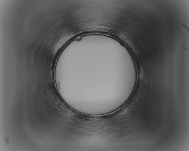 X0000101220877200807181549