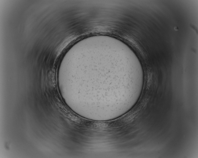 X0000101220878200807181549