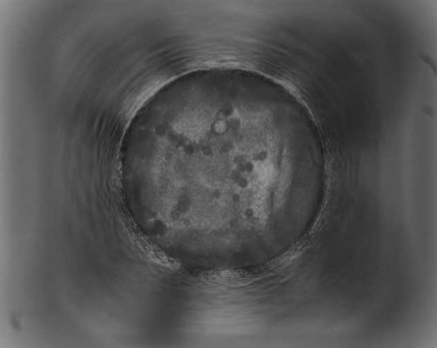 X0000101220879200807181549