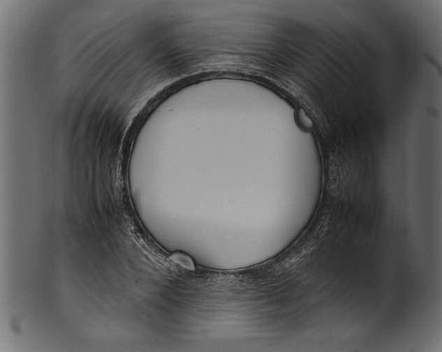 X0000101220880200807181549