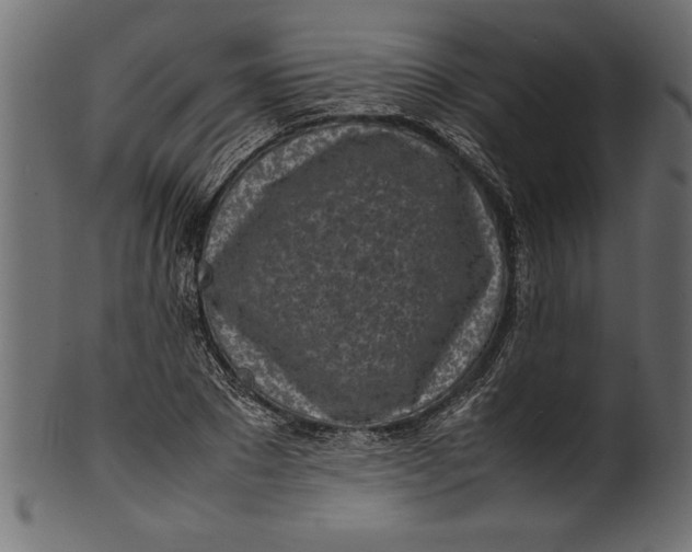 X0000101220881200807181549