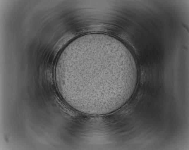 X0000101220882200807181549