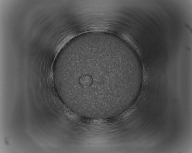 X0000101220883200807181549