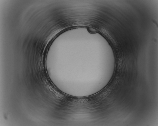 X0000101220884200807181549