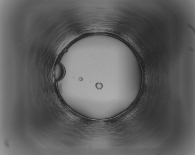 X0000101220885200807181549