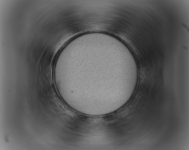 X0000101220886200807181549
